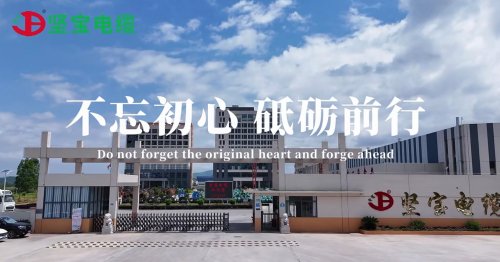 坚宝电缆厂大门